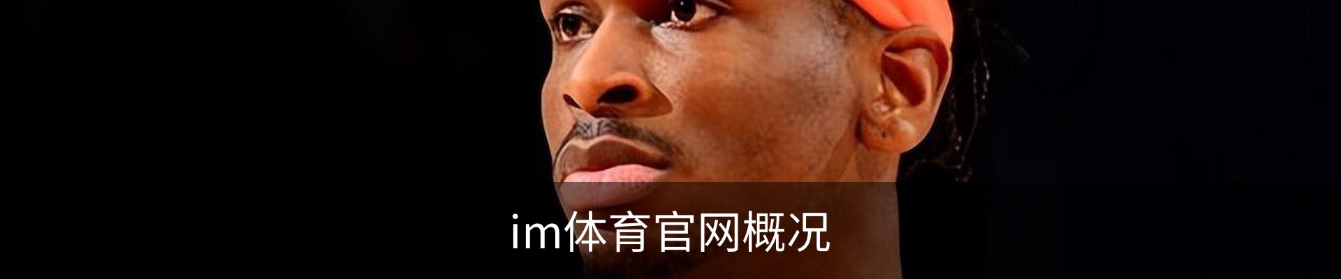im体育官网概况